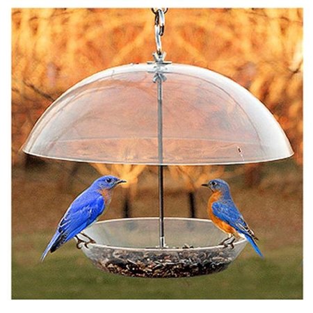 FANCY FELINE NABBFDR Dome Top Seed & Bluebird Bird Feeder FA137067